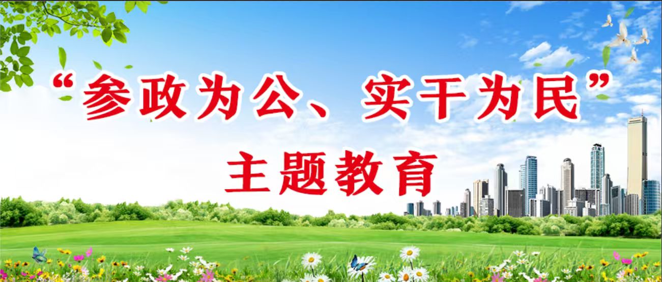 “参政为公、实干为民”主题教育